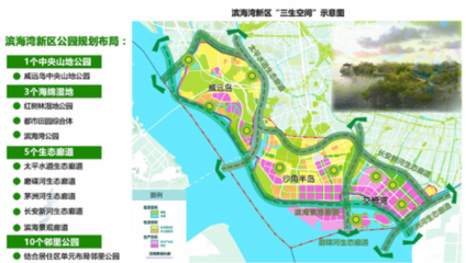 東莞:暫停濱海灣新區(qū)各類建設(shè)行為 獲批未建的也將暫停